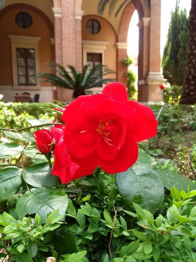 Casa S. Giuseppe Di Cluny Acomodação com café da manhã Roma Exterior foto